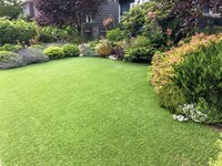 Easy Lawn: De Perfecte Keuze voor een Prachtig Gazon