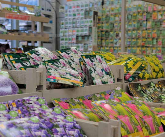 Bloembollen en zaden kopen nabij Gouda | GroenRijk Bergambacht