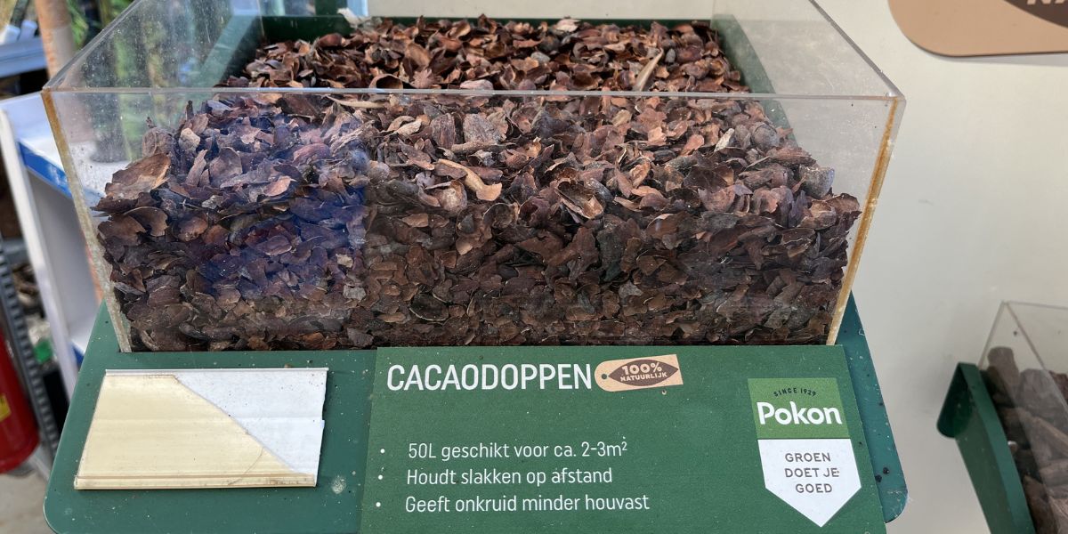 Cacaodoppen - GroenRijk Bergambacht