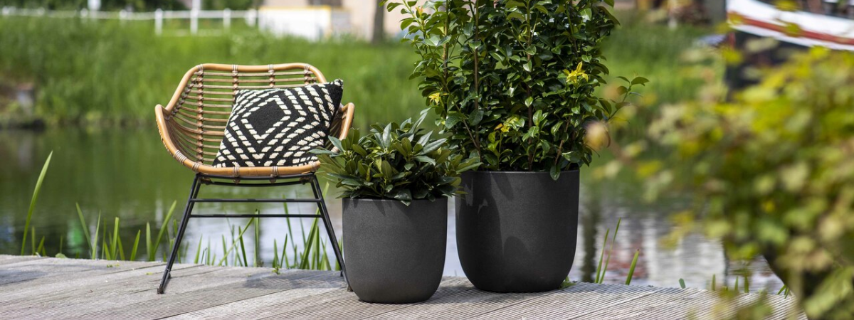 Buitenpotten scoren? Bij tuincentrum GroenRijk Bergambacht scoort u de mooiste potterie.