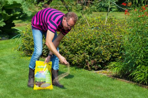 Gazononderhoud | DCM | ECOstyle | Tuincentrum Bergambacht