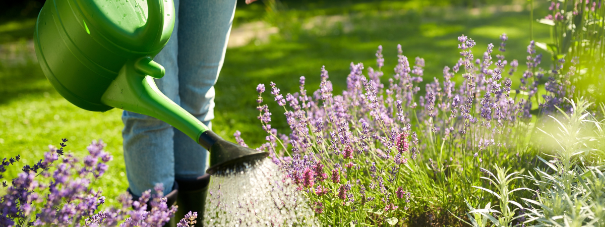 Bij GroenRijk Bergambacht helpen we u graag bij het kiezen van de juiste oplossing voor uw tuin. Ons assortiment bevat onder andere Gardena sproeisystemen, handige gieters, slimme regentonnen en nog veel meer handige hulpmiddelen. 