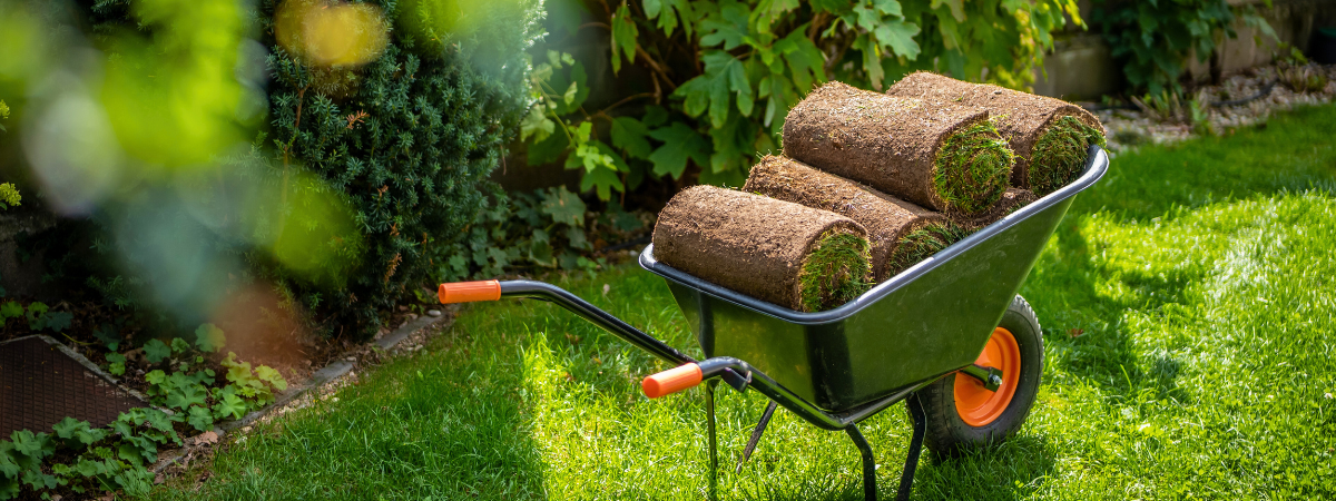 Een gazon aanleggen met graszoden | GroenRijk Bergambacht