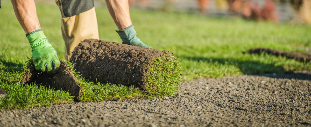 Graszoden leggen? Goed idee! Bestel ze bij tuincentrum GroenRijk Bergambacht!