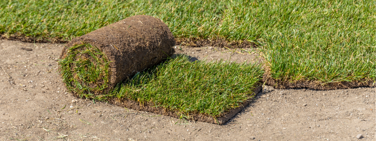 Graszoden bestellen bij GroenRijk Bergambacht, nabij Gouda