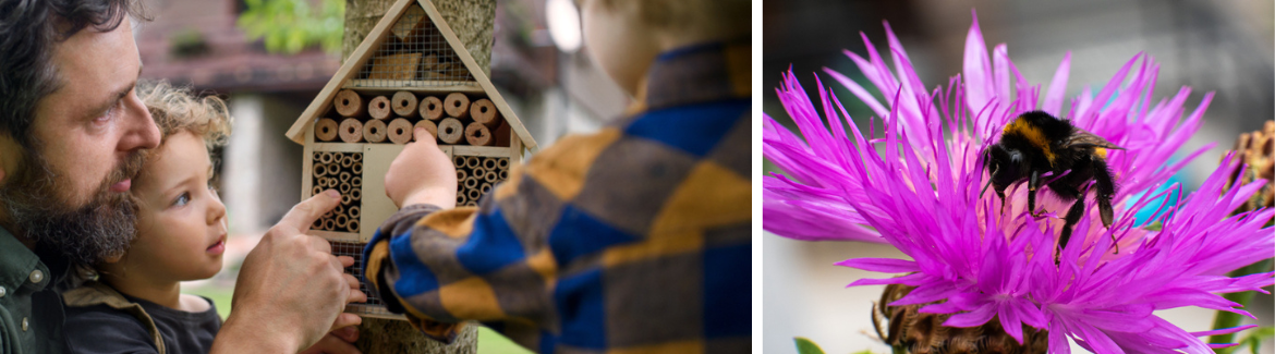 Dierenwinkel | Groenrijk Bergambacht 