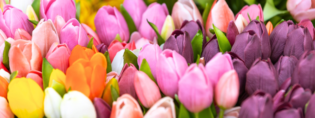 Kunstbloemen en kunstplanten kopen | GroenRijk Bergambacht Kunstbloemen en kunstplanten kopen | GroenRijk Bergambacht