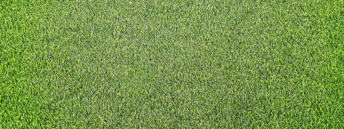 Een gazon aanleggen met kunstgras | GroenRijk Bergambacht