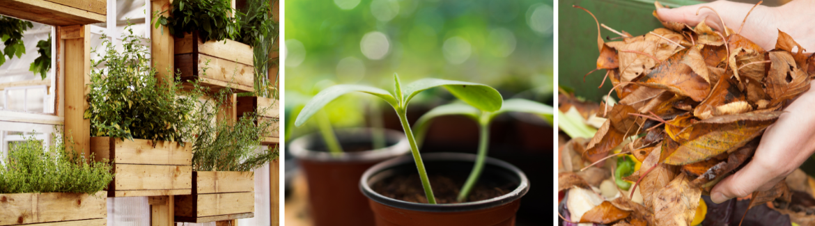 Moestuin | Groenrijk Bergambacht