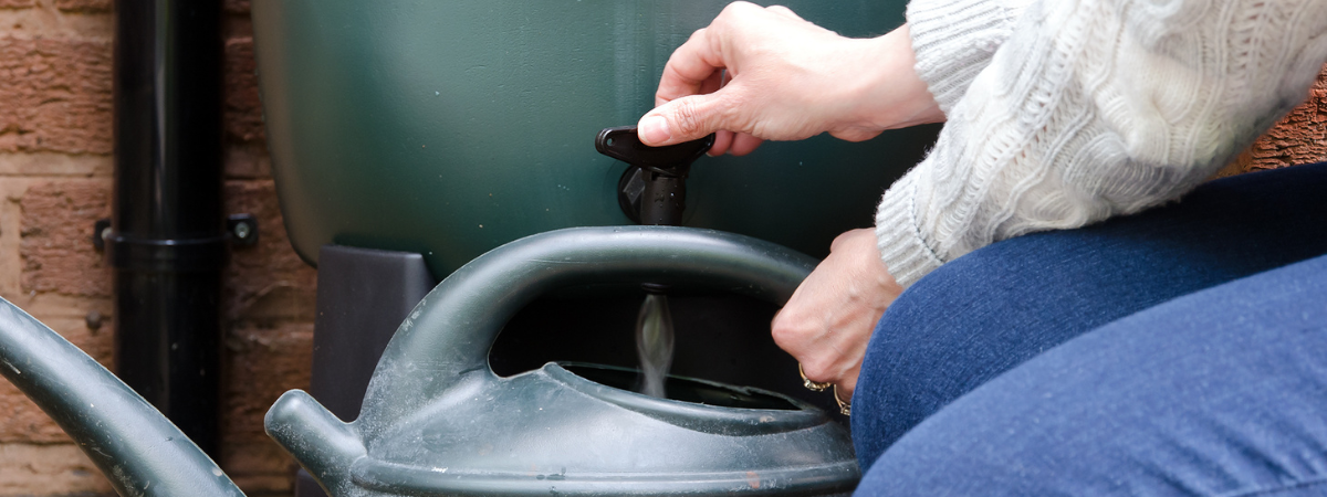 Een regenton is een eenvoudige en effectieve manier om water te besparen!