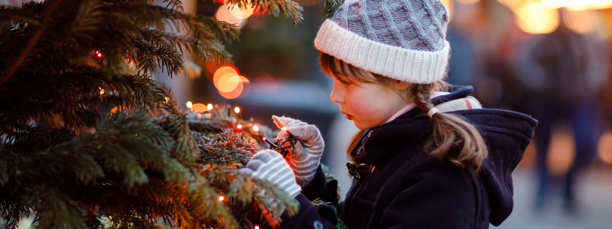 Kerstverlichting kopen bij GroenRijk Bergambacht!