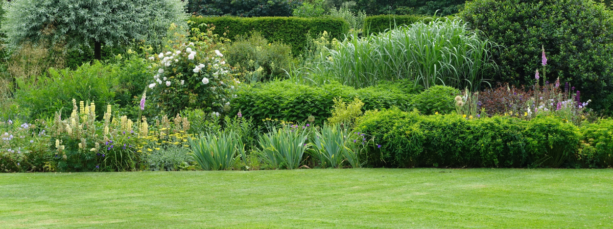 Met onze tuinplanten maakt u van uw buitenstek iets b(l)oeiends!