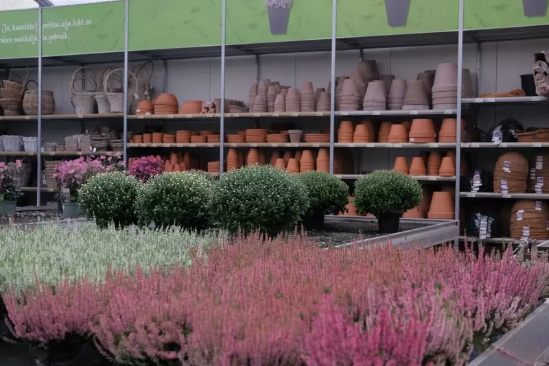 Tuinplanten kopen | GroenRijk Bergambacht