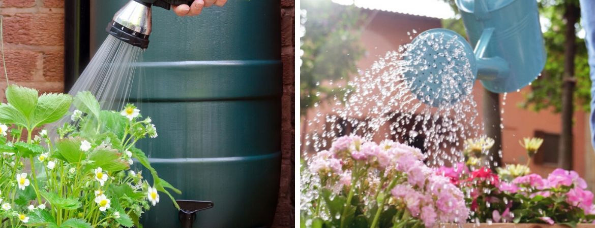 GroenRijk Bergambacht | Bewatering | Planten water geven