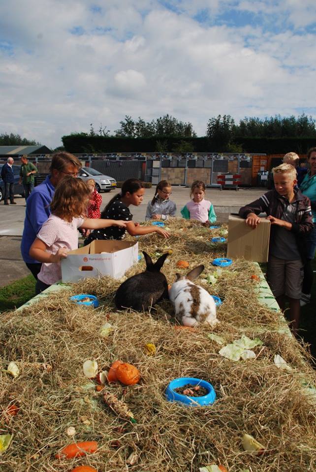 Zoekt u een dierenwinkel nabij Gouda? Kom naar GroenRijk Bergambacht -