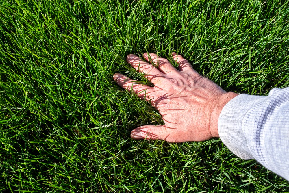 Gazononderhoud in de winter: zo bereid je jouw gras voor op de kou – Kraakman Tuinmachines