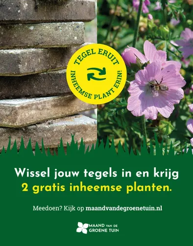 Tegel eruit, plant erin: maak van uw tuin een groene oase