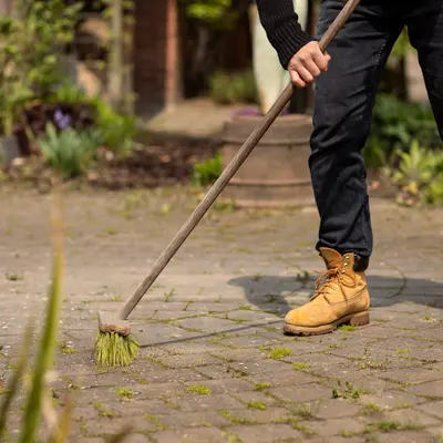 Onkruid en groene aanslag | GroenRijk Bergambacht